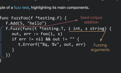 Featured image of post Fuzz testing in Go