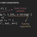 Fuzz testing in Go