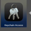 Mutual TLS (mTLS) Go client using macOS keychain