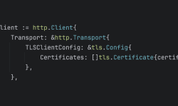 Featured image of post Mutual TLS (mTLS) Go client