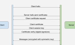 Featured image of post Mutual TLS intro and hands-on example