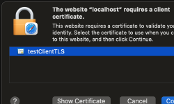 Featured image of post Mutual TLS (mTLS) with macOS keychain