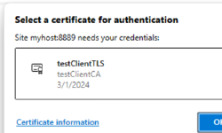 Featured image of post Mutual TLS (mTLS) with Windows certificate store